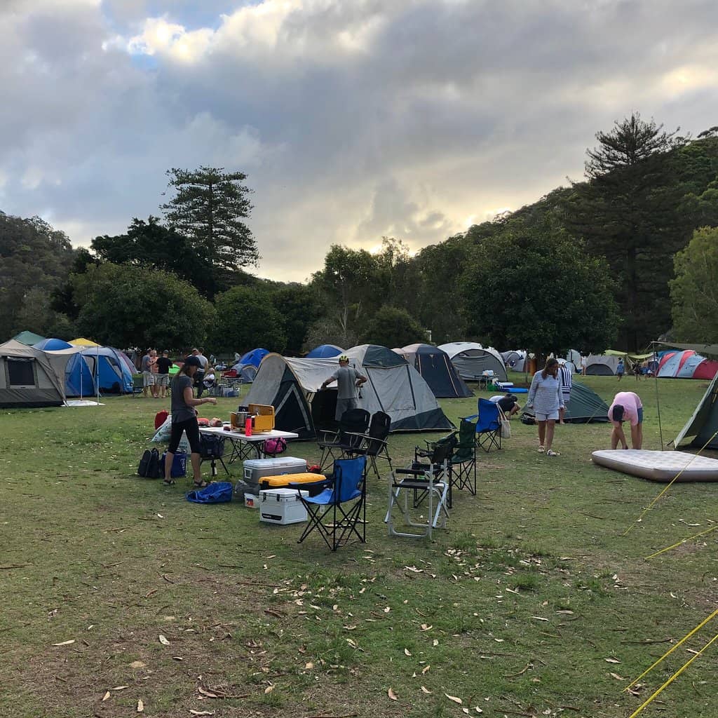 Abundant Local Wildlife