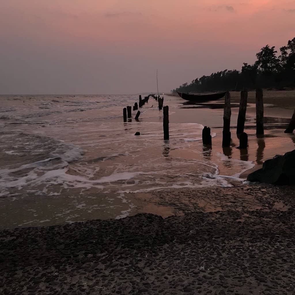 Tranquil Casuarina Groves