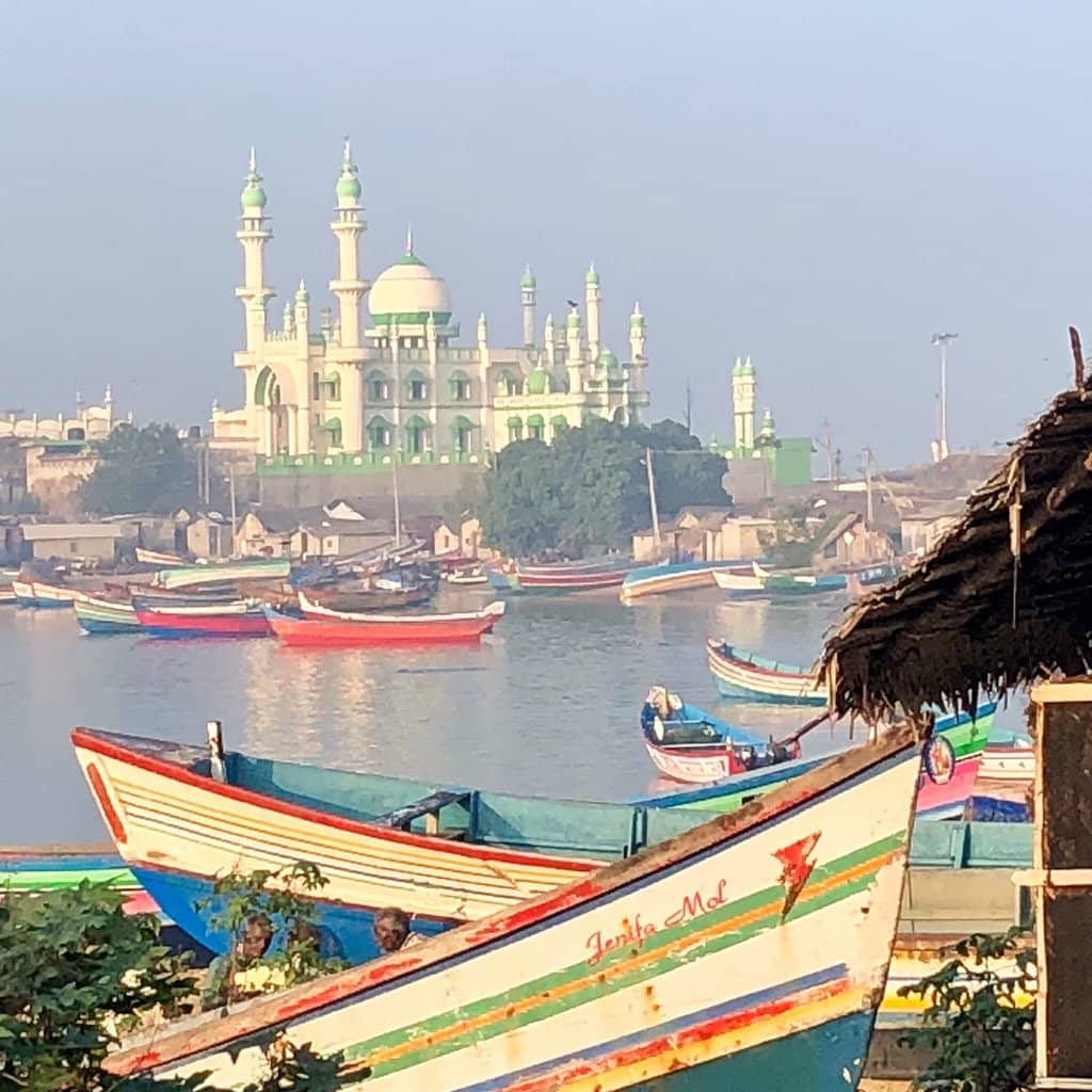 Afternoon Large Fish