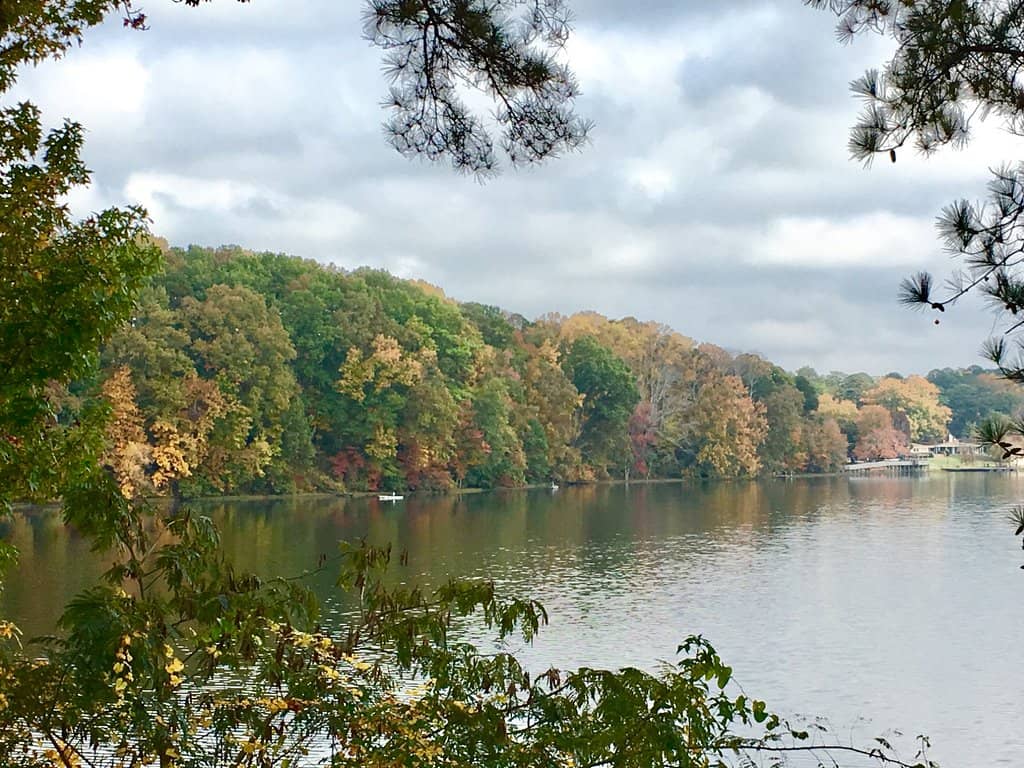 Playgrounds & Picnic Areas