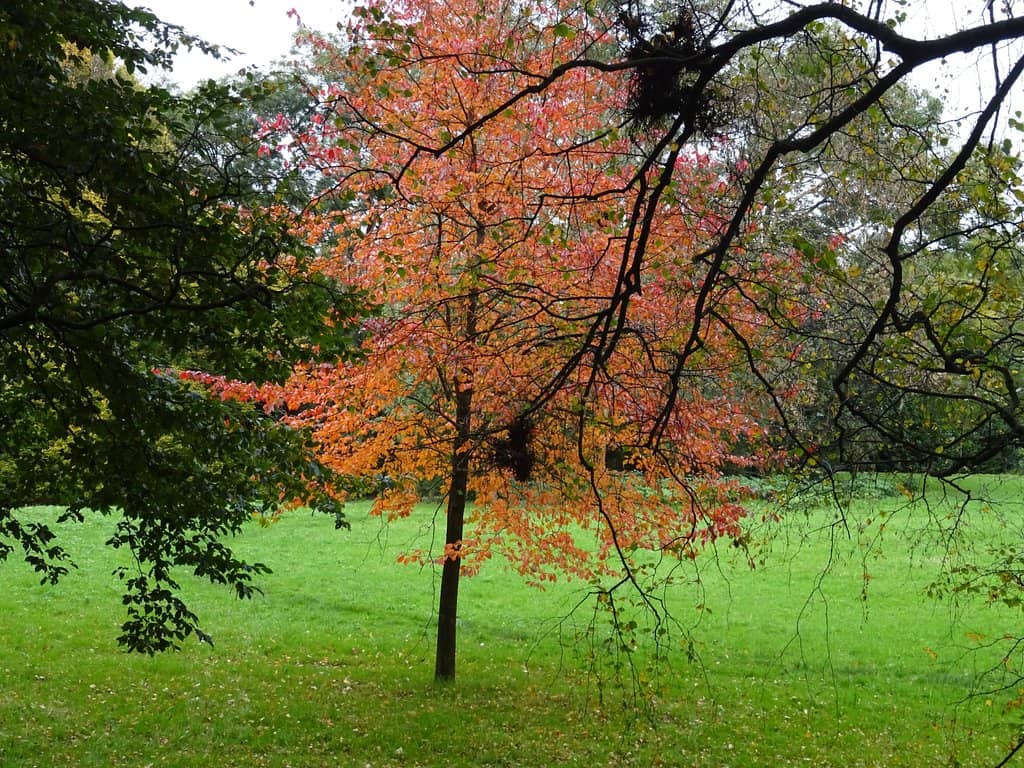 Nature Trails