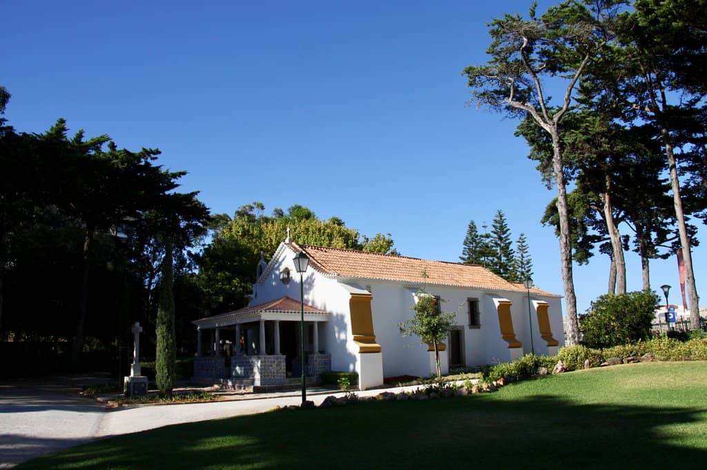 Peacocks and Poultry Parade