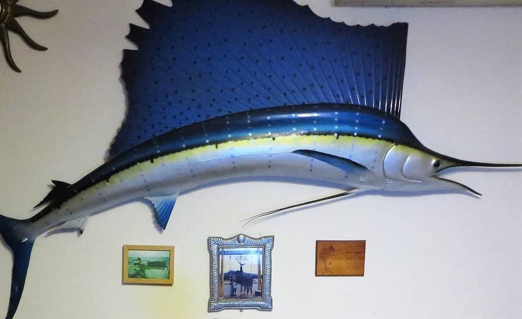 Whale Watching (Seasonal)