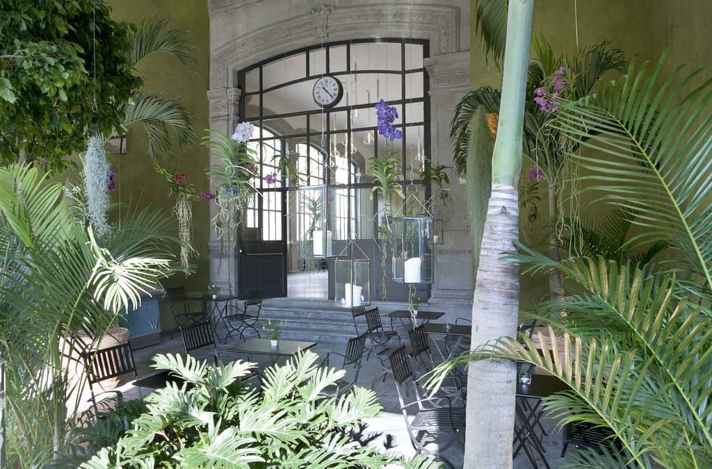 Variety of Saunas & Steam Rooms