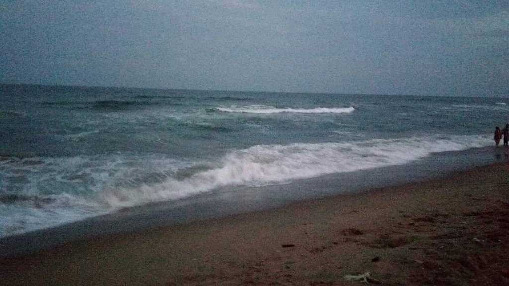 Street Food Delights