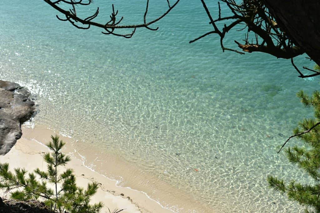 Island Views & Nature Trails