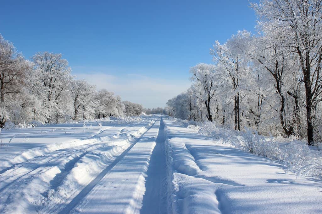 Volkhov River Views