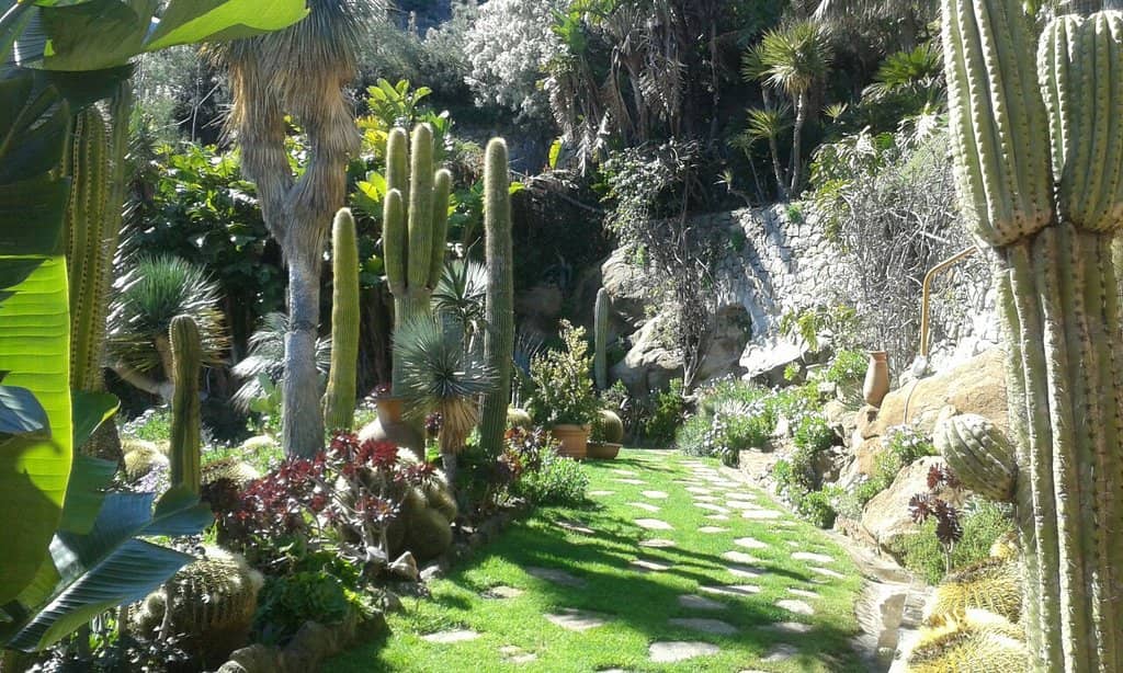 Terraced Garden Design