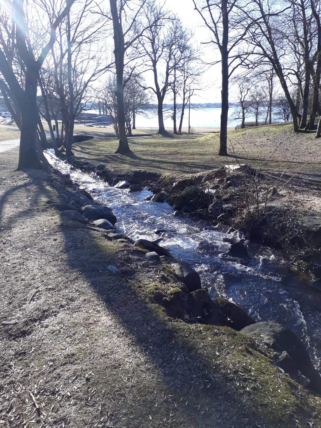 Green Recreational Area