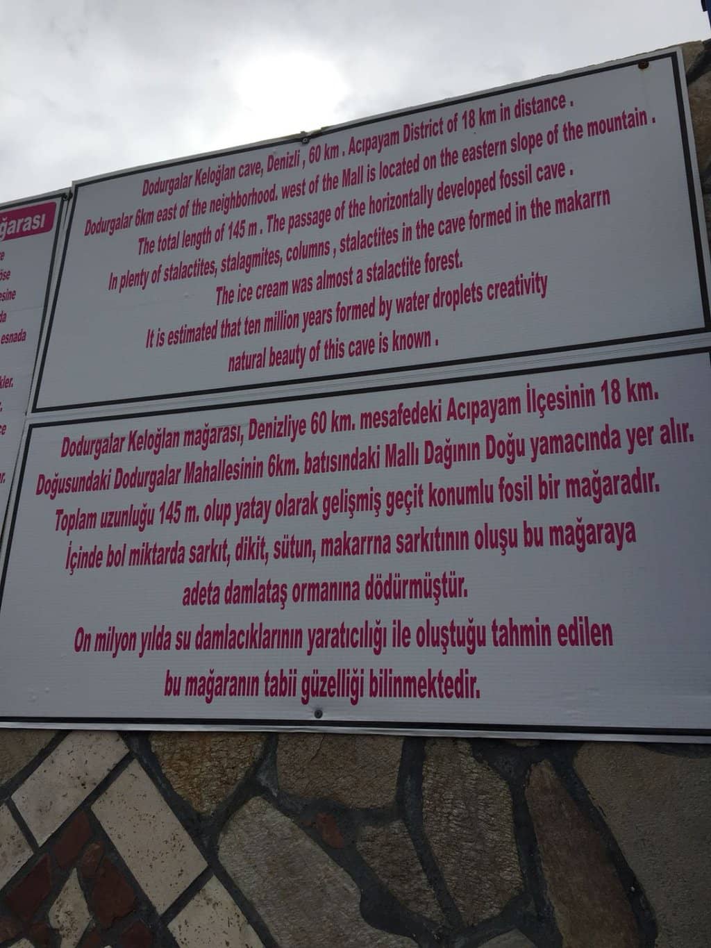 Ancient Bone Remnants