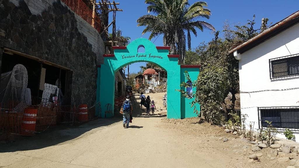 Tranquil Swimming & Snorkeling