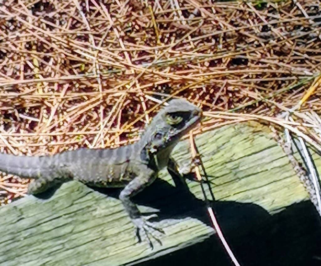 Self-Guided Nature Walk