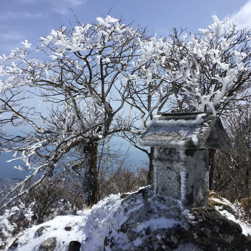 Vertical photo