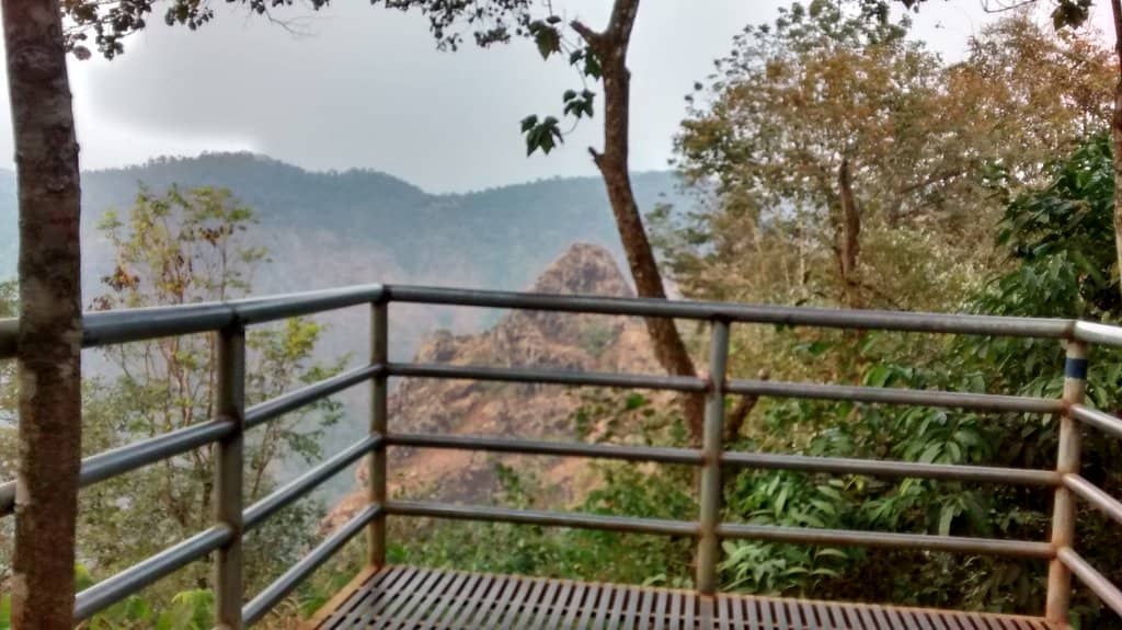 Lush Forest Trail
