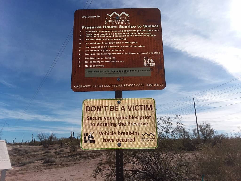 The Elusive Crested Saguaro