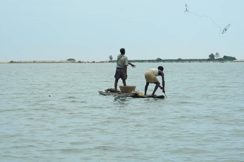 Fresh Catch Market