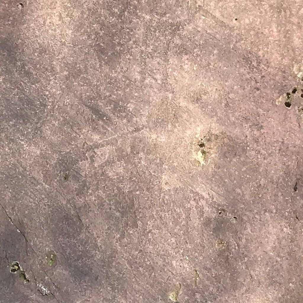 Well-Preserved Carvings