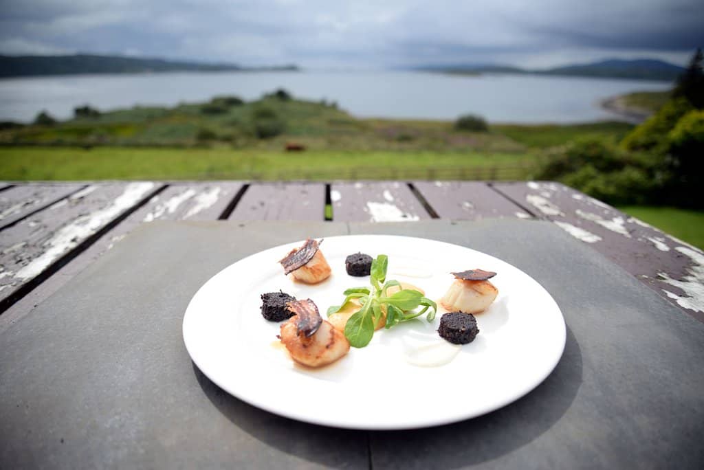 Cozy Lounge with Log Fire