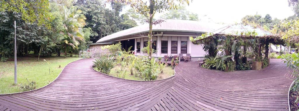Garden of Eden