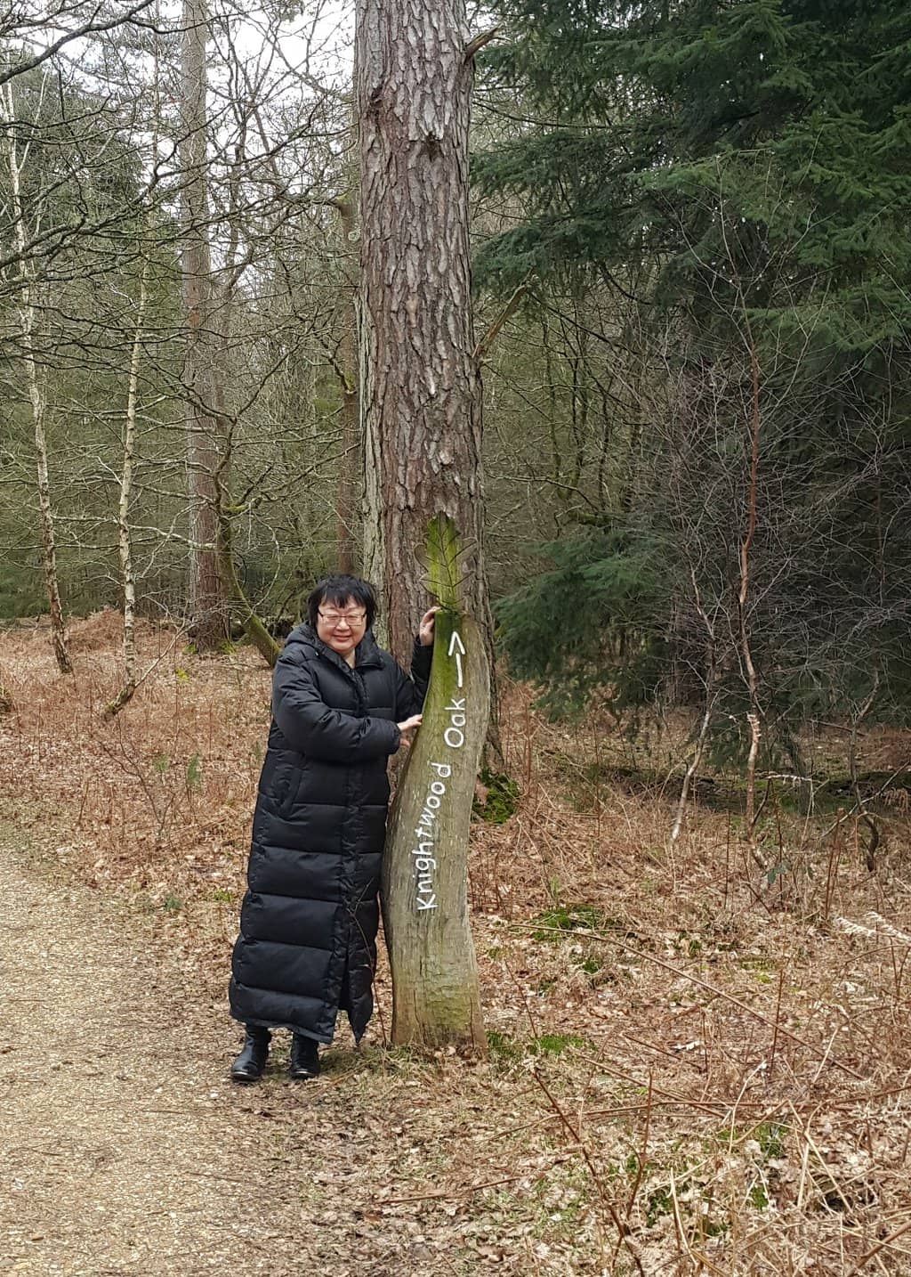Woodland Wanderings