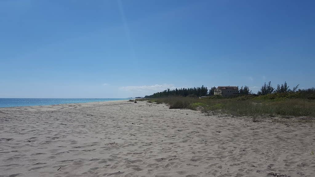 Beachfront Horseback Riding