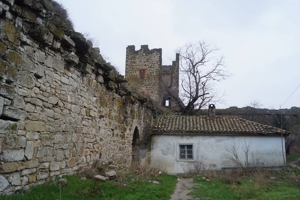 Vertical photo
