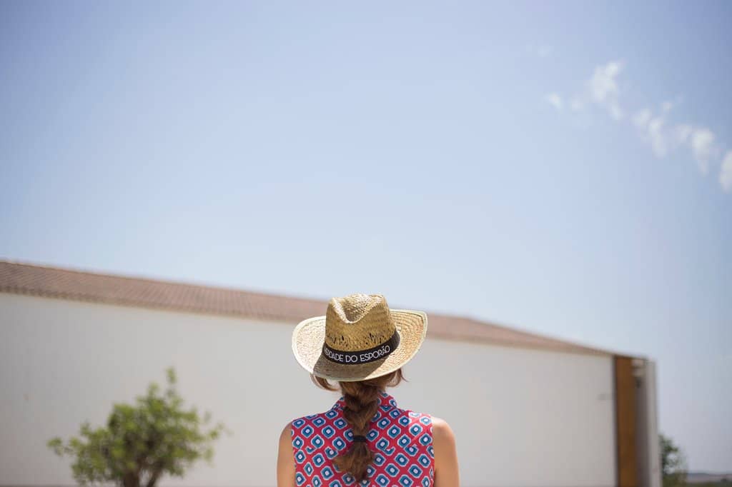 Olive Oil Production