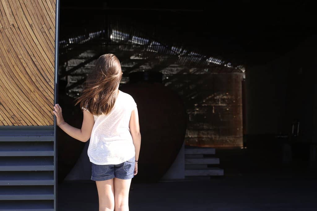 Wine Tasting & Vineyard Tours