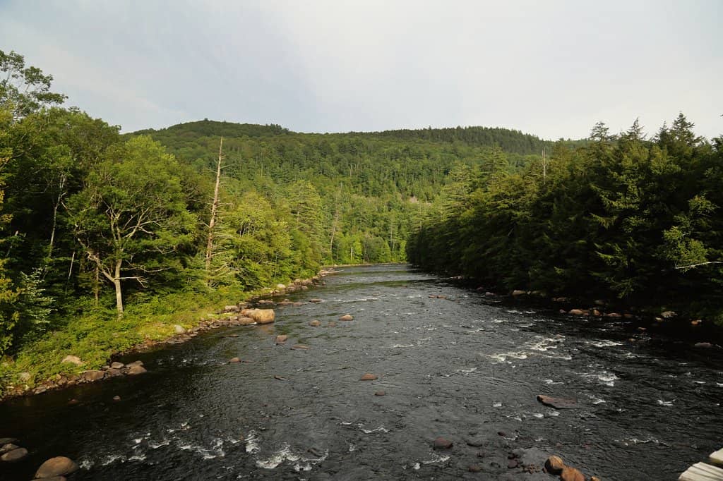 Historic Trestle Bridge