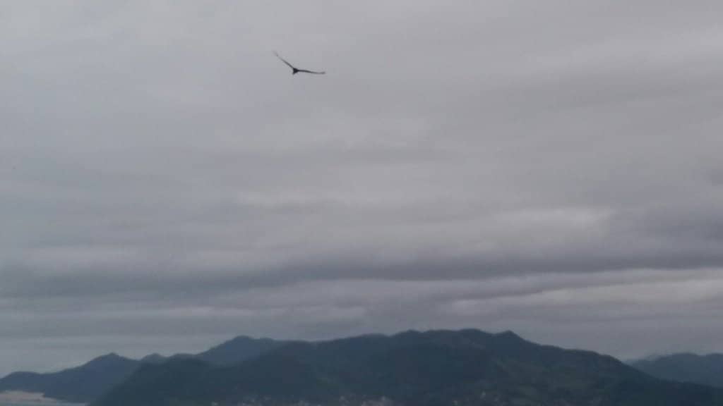 Rio da Madre