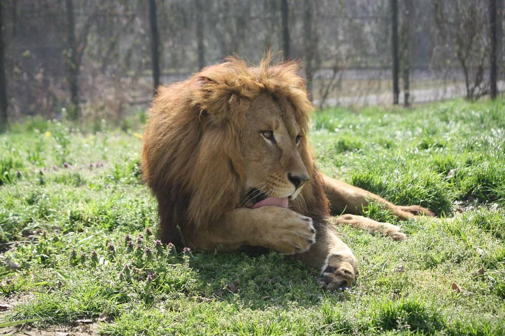 Hurricane Roller Coaster