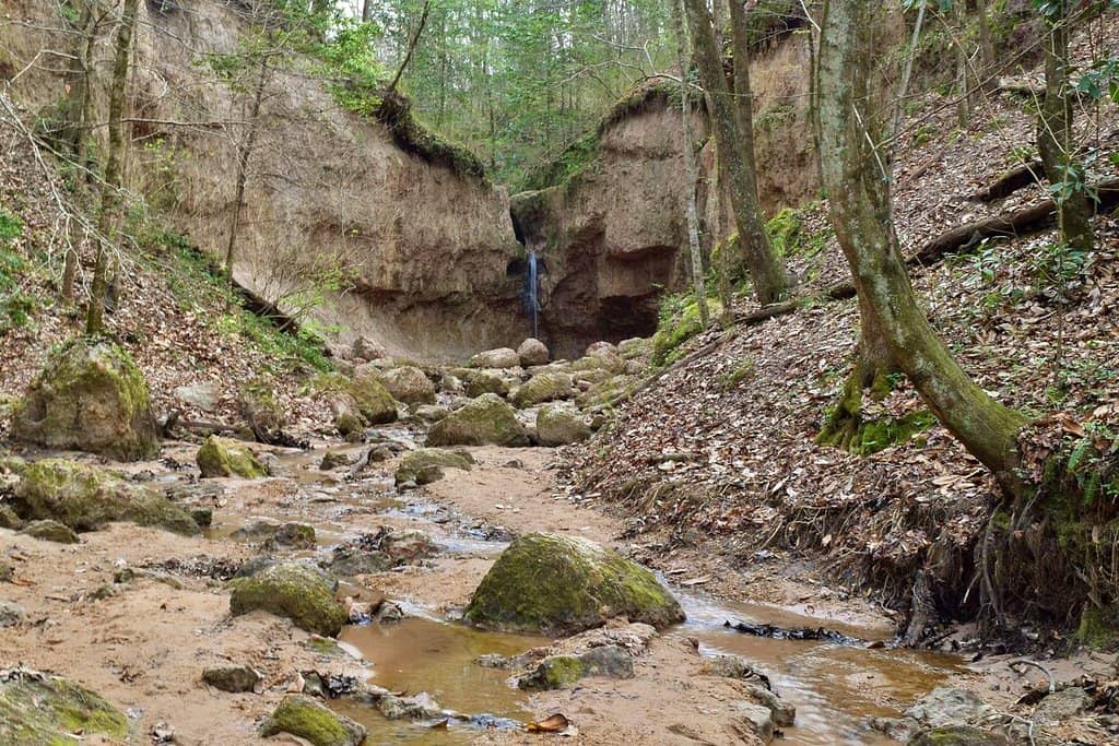 Primitive Trail