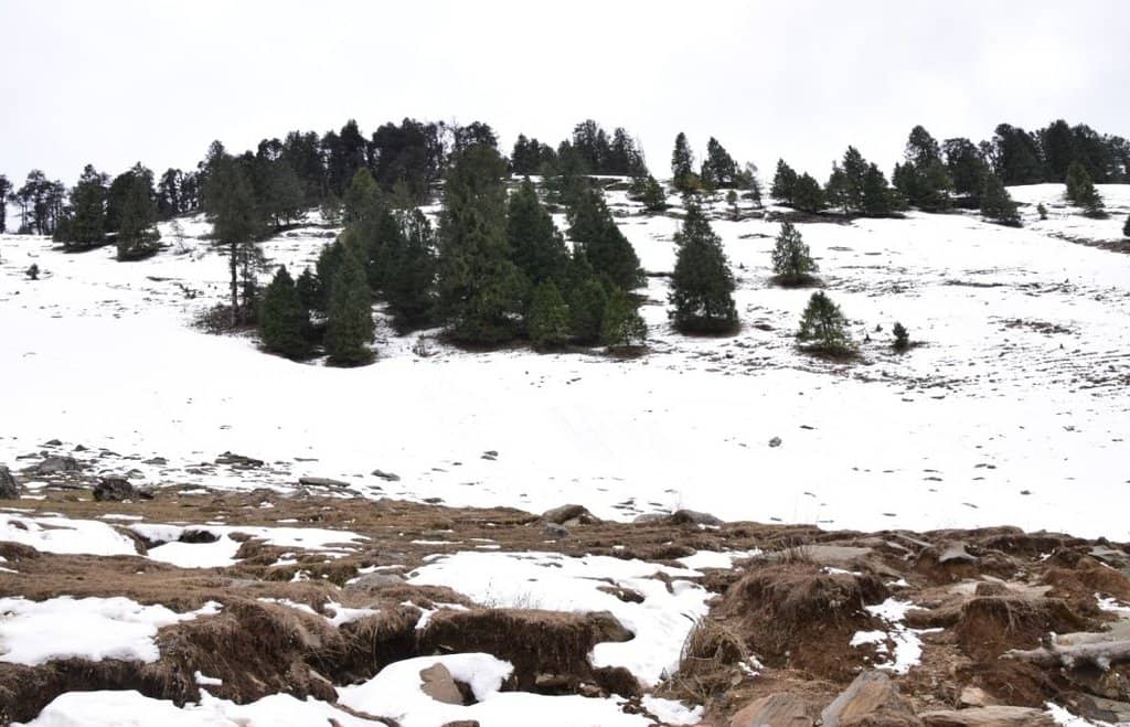 Panoramic Himalayan Views