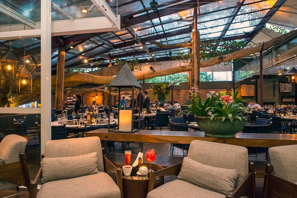 Gourmet Chocolate Brownie