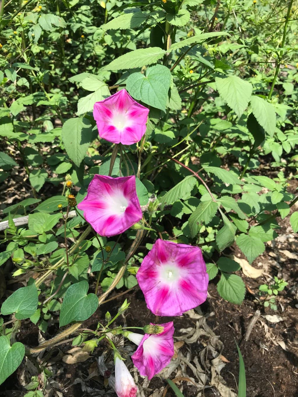 Hiking & Biking Trails