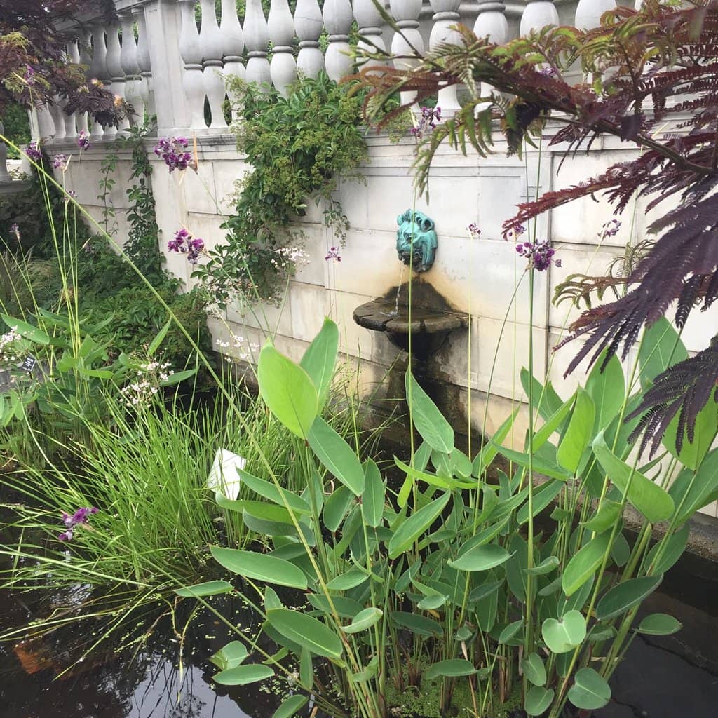 Diverse Plant Collection