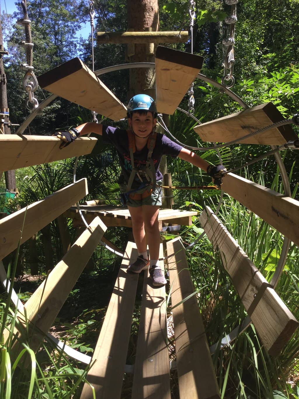 Giant Sequoia & Old Oaks