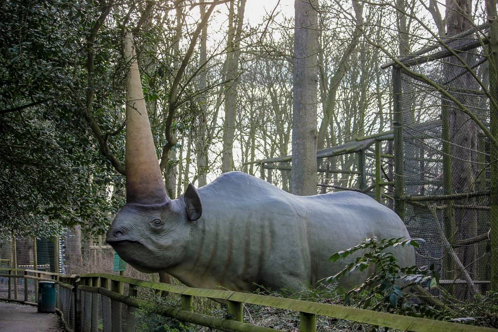 Big Cat Habitats