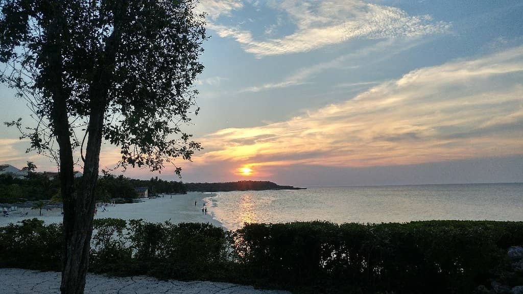 Coral Reef Snorkeling