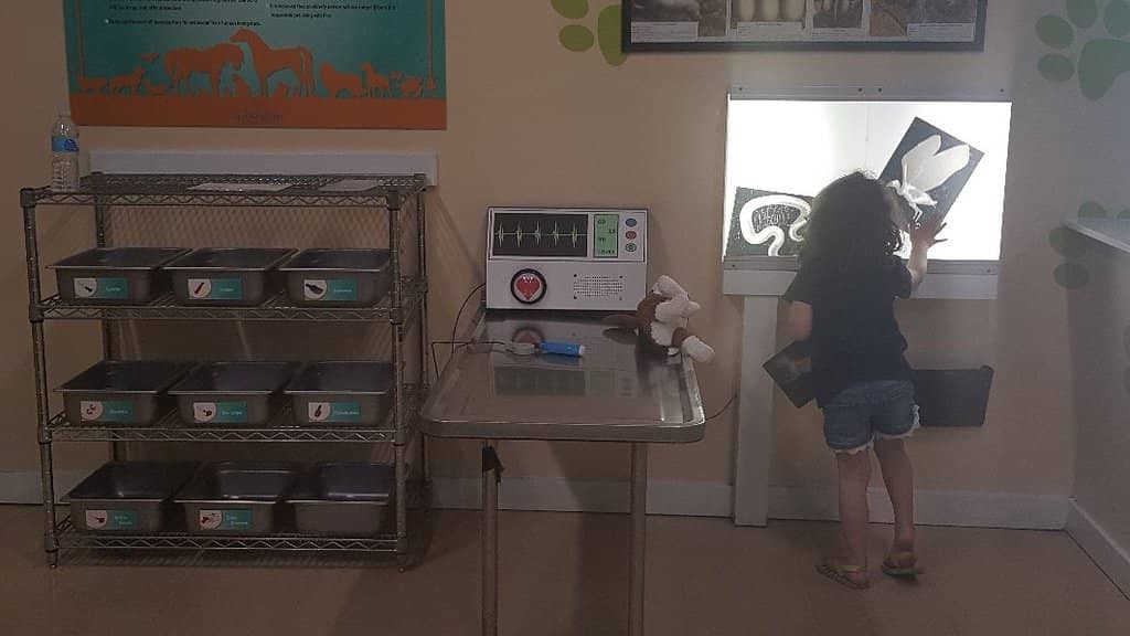 Pretend Play Stations