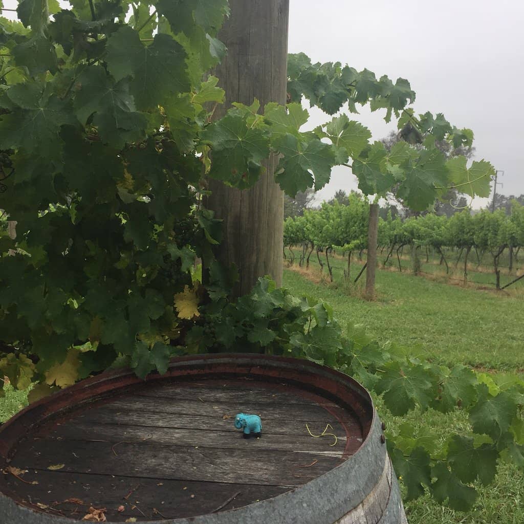 Affordable Wine Tastings