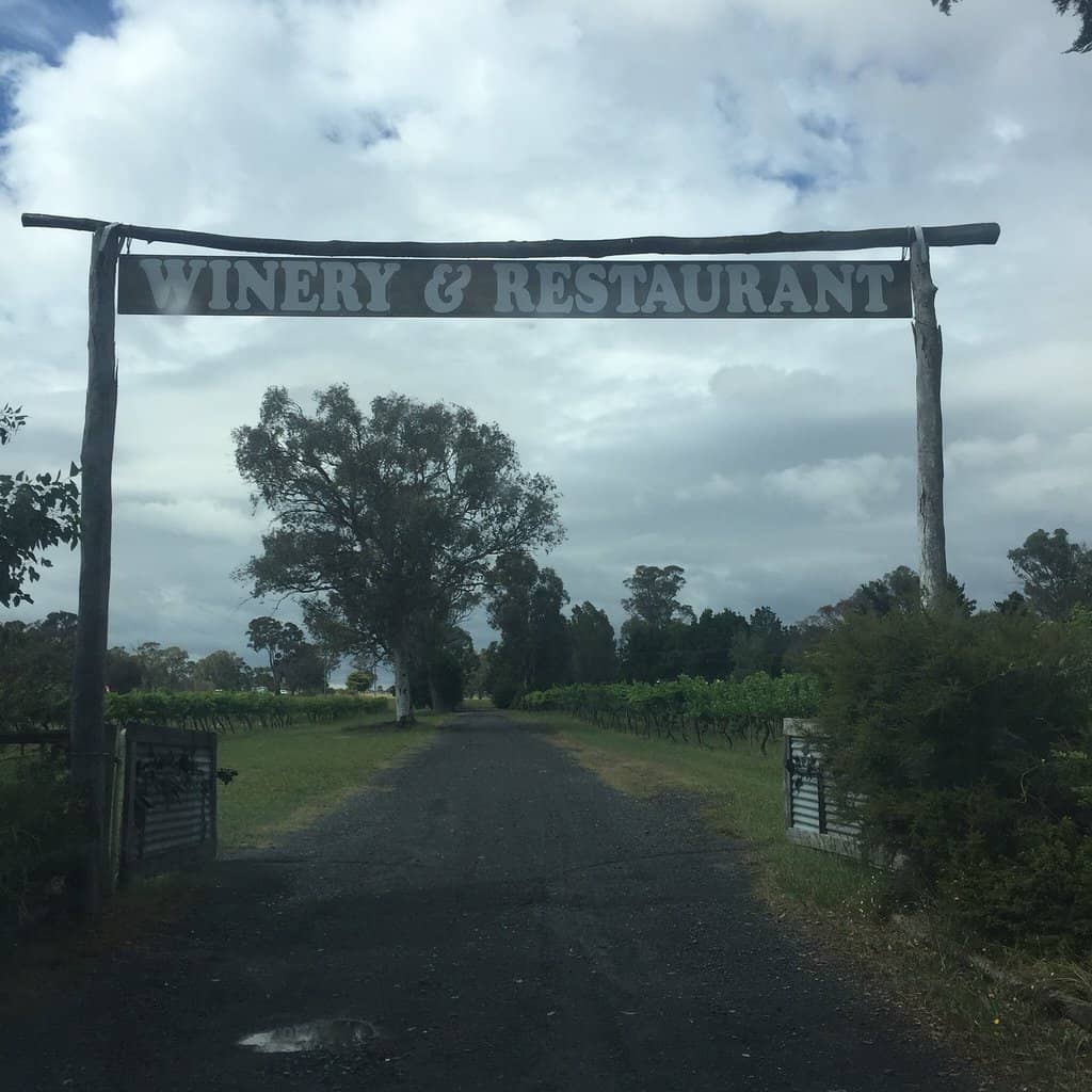 Winery Dog Encounters