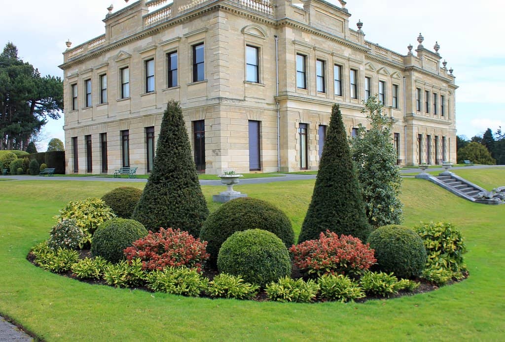 Expansive Gardens