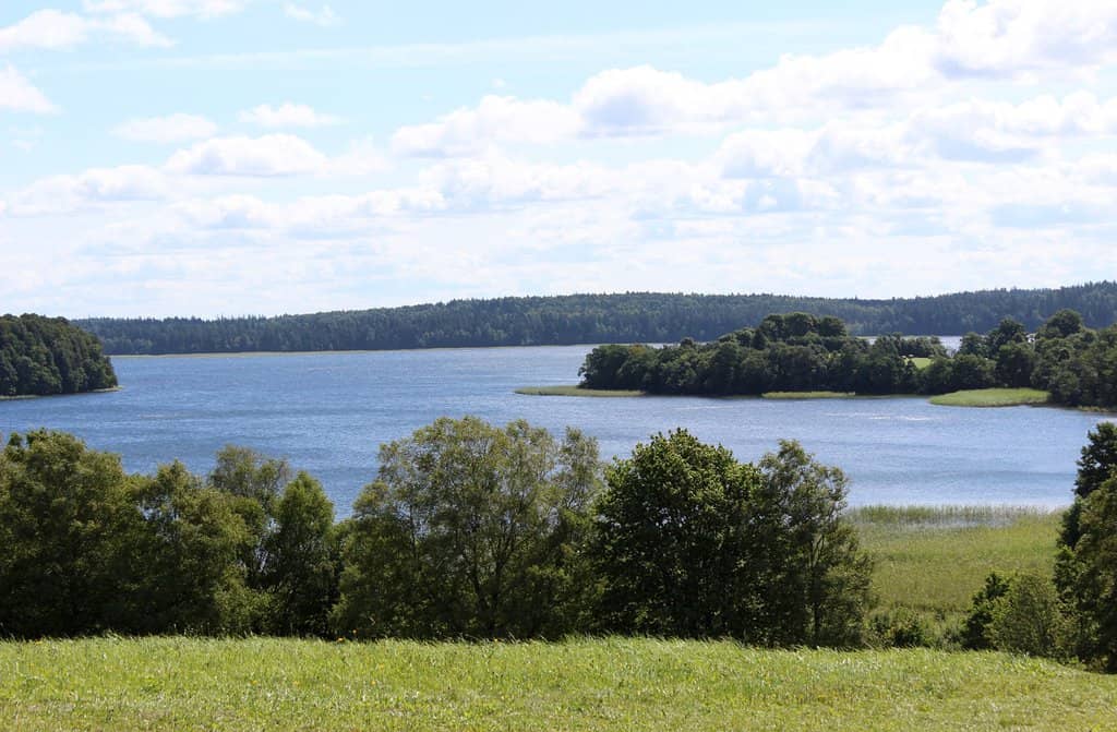 Scenic Drives & Walks