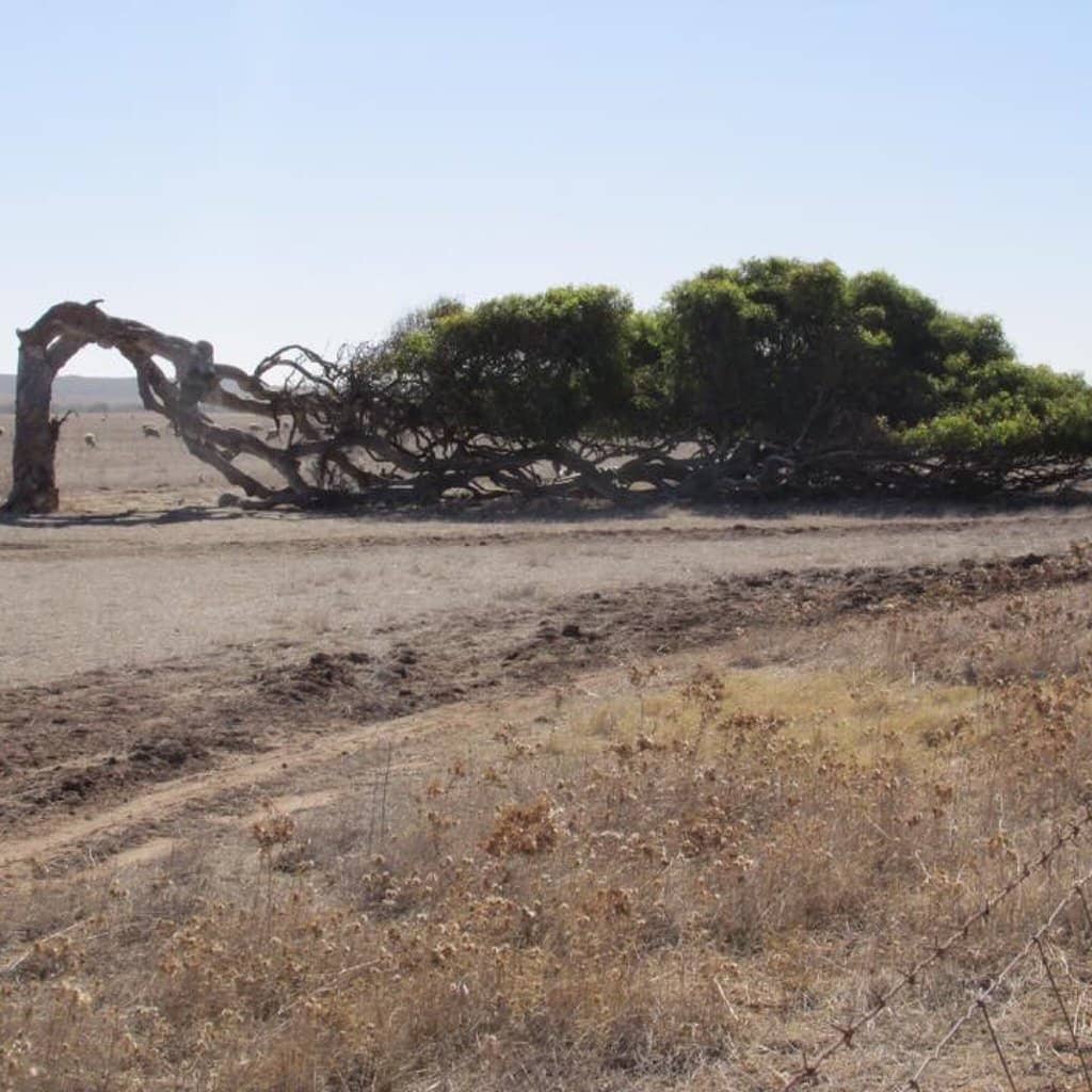 Sunset Photo Opportunity