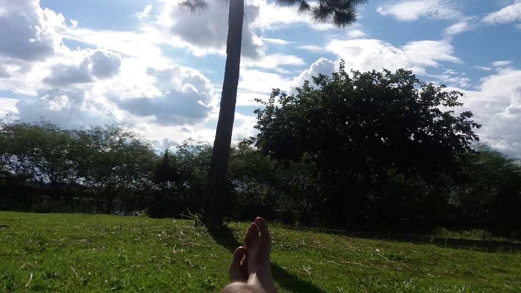 Vertical photo