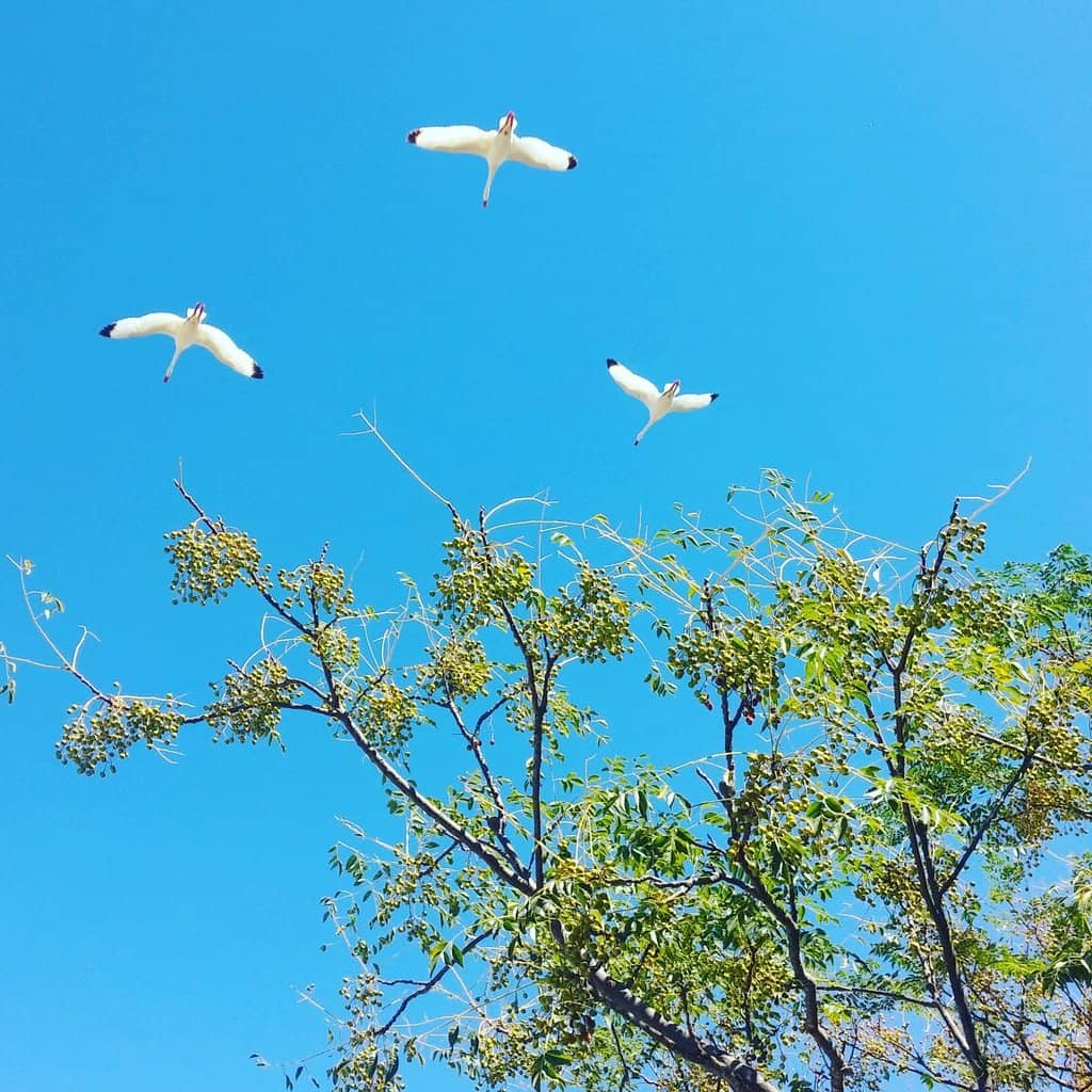 Tranquil Nature Trails