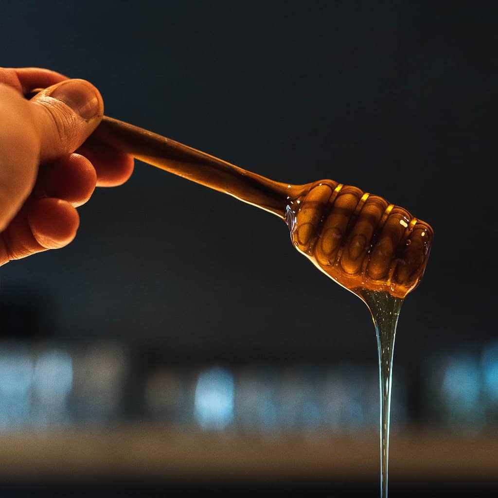 Cozy & Intimate Italian Ambiance