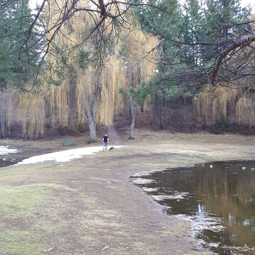Fishing Opportunities