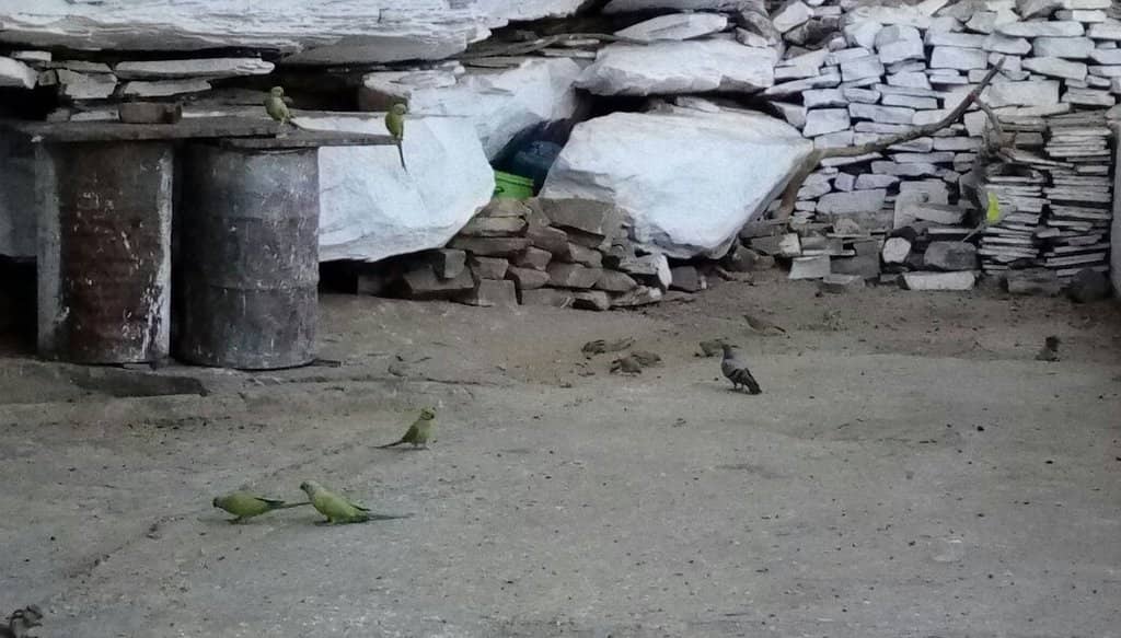 Sunset Over the Gorge